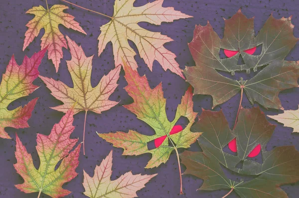 Tmavý podzimní vzor ve stylu halloween - maple listy v podobě zlé tváře s rudýma očima na černém pozadí. Tónovaný obrázek — Stock fotografie