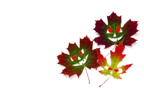 Halloween pozadí - barevné podzimní javorové listy v podobě tváře s rudýma očima. Bílé pozadí. Místo pro text — Stock fotografie