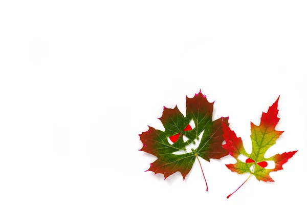 Fondo de Halloween - caras aterradoras multicolores con ojos rojos de hojas de arce. Fondo blanco. Copiar espacio — Foto de Stock