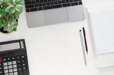 Ofis - Danışma dizüstü bilgisayar, hesap makinesi, evrak, defter, kalem ve yeşil bir bitki yığını işyerinde. Kopya alanı.