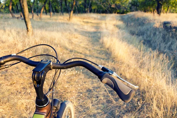 Часть велосипеда на бездорожье, сухая осенняя трава и лес — стоковое фото