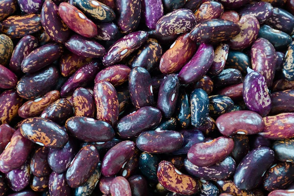 Beans of dark purple color with stripes of sorts Railroad, Selugia, Idaho Refuge.