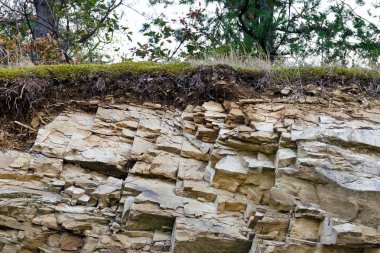 Patlak bir kaya veya taş yukarıdan bir bitki örtüsü ile Dağlık çöküşü.