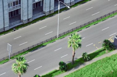 City street with an empty road, surrounded by palm trees and lawn. View from above. clipart