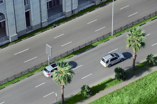 Şehir caddesinde palmiye ağaçları olan hava araçları..