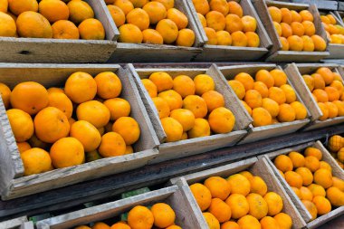 Meyve - olgun mandalina ile ahşap kutular satırlarının satışı. Fotoğraf alan sığ derinliği olan.