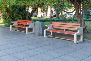 Şehir Parkı veya yeşil ağaçlar ve kiremit - beton ve ahşap çöp kutusu arasında iki temiz tezgahları yaptı. Boş kopya alanı metin için.