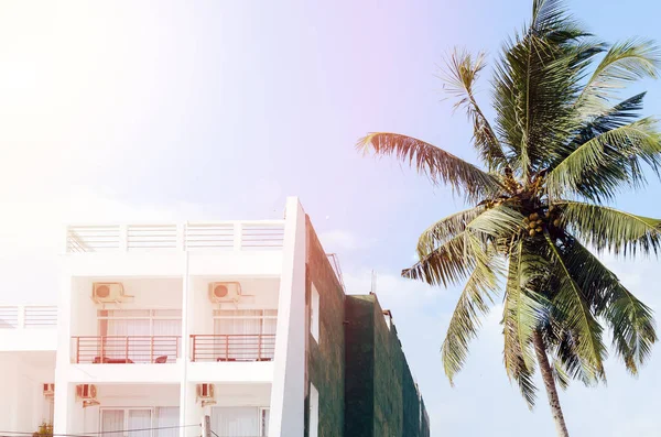 Bílý Hotel Osvětlena Sluncem Palmu Proti Modré Obloze Koncept Dovolené — Stock fotografie