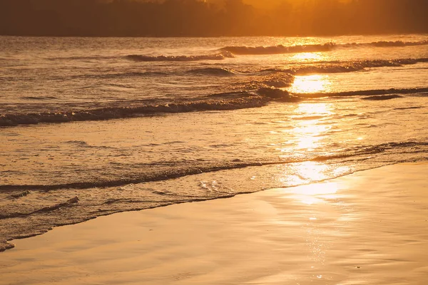 Sunset Tropical Beach Sri Lanka Golden Color Waves Sea Water — Stock Photo, Image