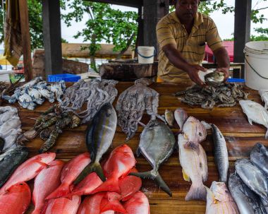 Satıcı Sri Lanka, çeşitli taze vahşi yakalanan balık ahşap sayaçta sokak balık pazarında. 