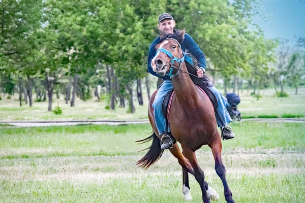 Pokrov, Ucrania - 27 de mayo de 2017: Joven jinete a caballo galopando en la atracción de la ciudad —  Fotos de Stock