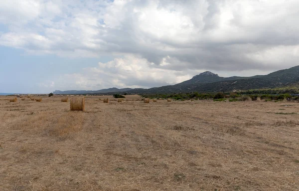 Vue du nord de Chypre. La nature de la Méditerranée. Une balle ronde de paille pour l'alimentation animale. Fourrage pour le bétail. Chypre île panorama — Photo