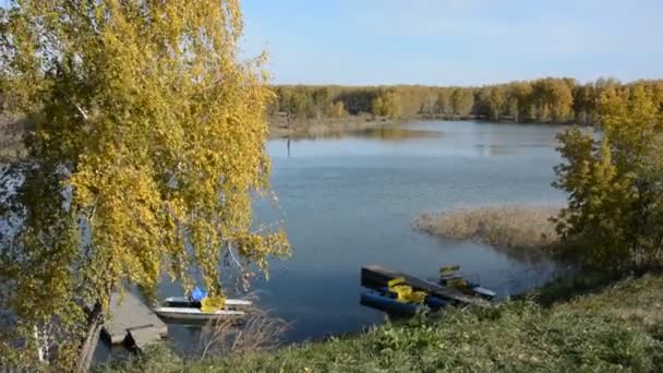 Pier for catamaran with autumn birches — Stock Video