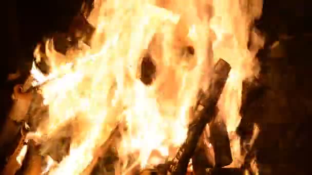 Oheň hoří turistů — Stock video