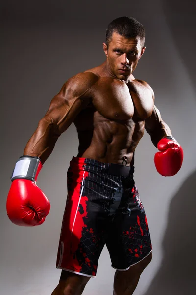 Boxer in rack ready for battle — Stock Photo, Image