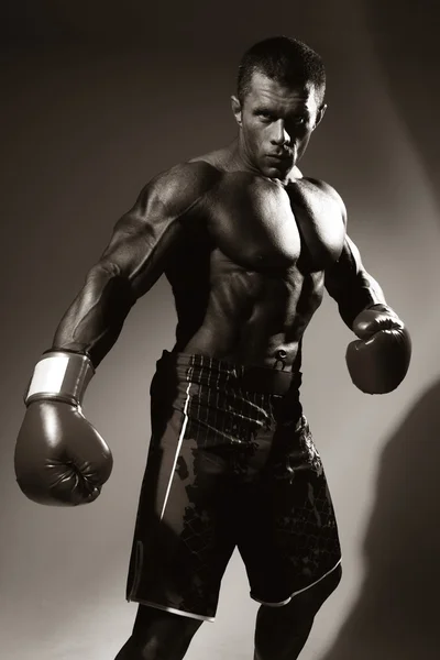 Boxer v regálu připraveno k bitvě — Stock fotografie