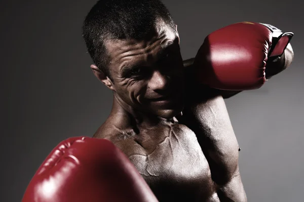 Retrato de cerca de un boxeador —  Fotos de Stock