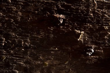 Eski sert ahşap tahta arka plan.