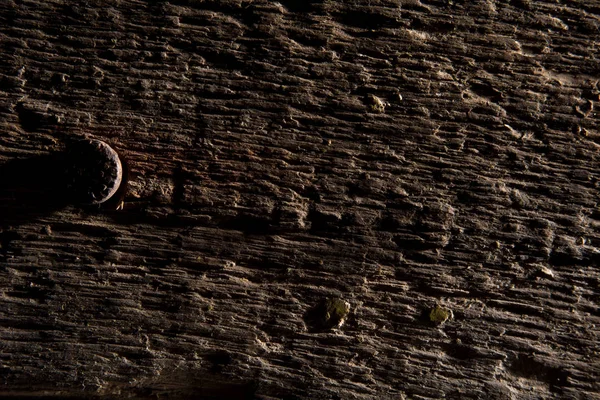 Arrière-plan d'une vieille planche de bois avec des têtes de clous — Photo