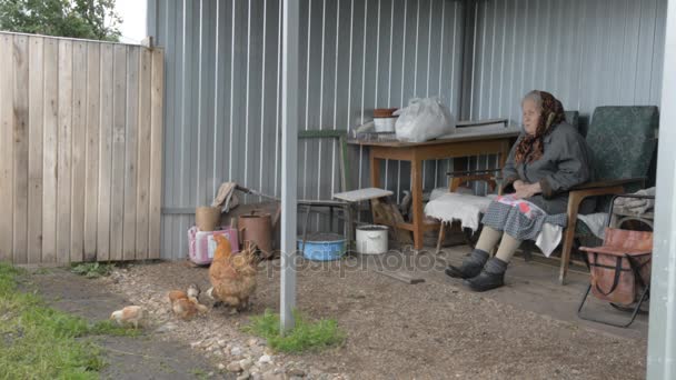 Vecchia nonna si prende cura del pollo e polli — Video Stock