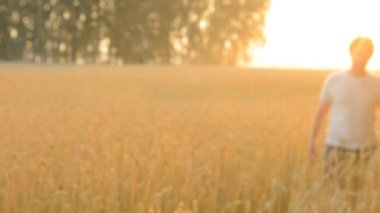 Çiftçi buğday alana gitmek.