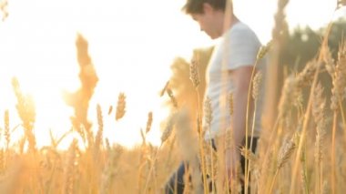 Çiftçi buğday alana gitmek.