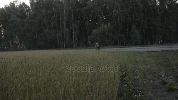 Man med en gammal resväska går landsvägen — Stockvideo