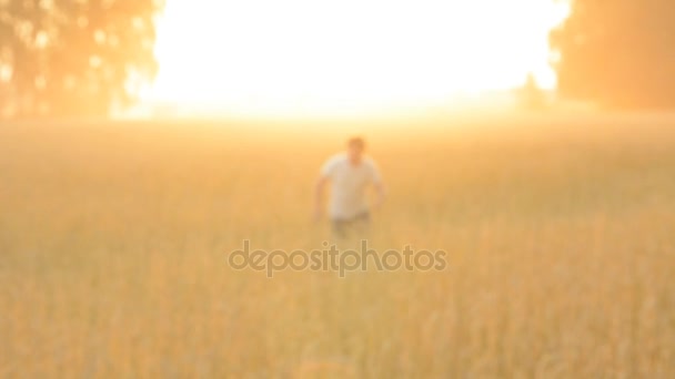Run a cheerful farmer on the wheat field — Stock Video