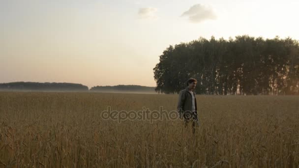 Um homem adulto caminha no campo de trigo — Vídeo de Stock