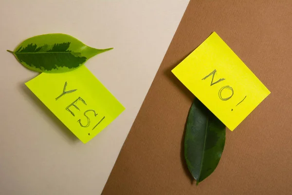 Feuilles vertes et jaunes de papier collant avec inscriptions, oui et non — Photo