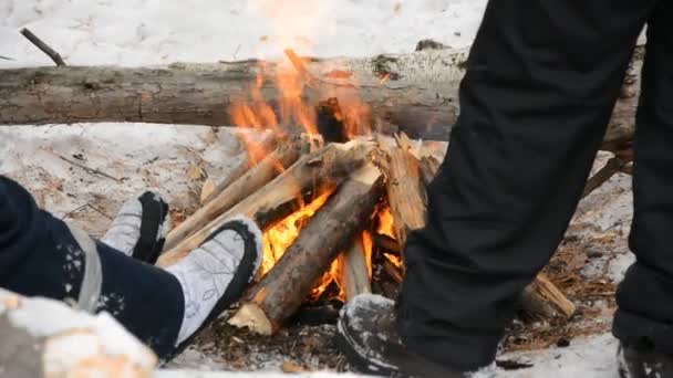 Люди греются вокруг костра в зимнем лесу — стоковое видео