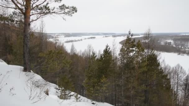 A neve de inverno cobriu a floresta e o rio — Vídeo de Stock