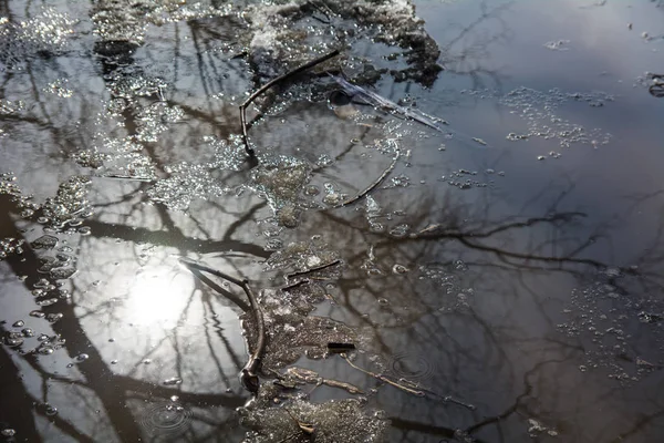 Neve derretida e reflexão de árvores de primavera em uma poça . — Fotografia de Stock