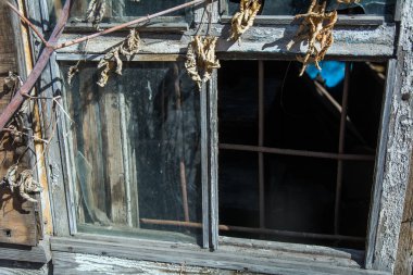 Kırık cam ve kuru yaprakları ile bir şube ile eski bir pencere