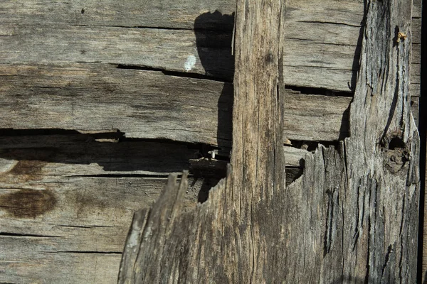 El fondo es una vieja madera contrachapada en capas ásperas —  Fotos de Stock