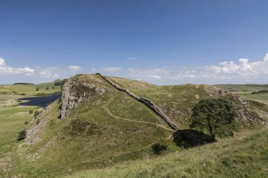 Highshield Crags and Sycamore Gap clipart