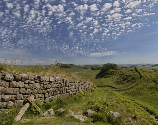 Cuddy'nin Crags Hadrian Duvarı