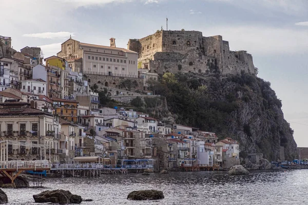 Scilla — Stockfoto