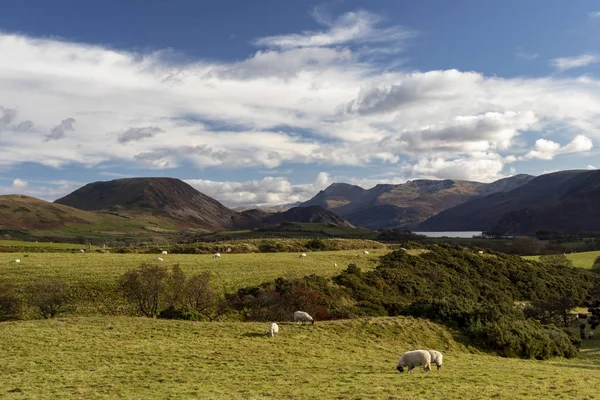 Ennerdale — Stock Photo, Image