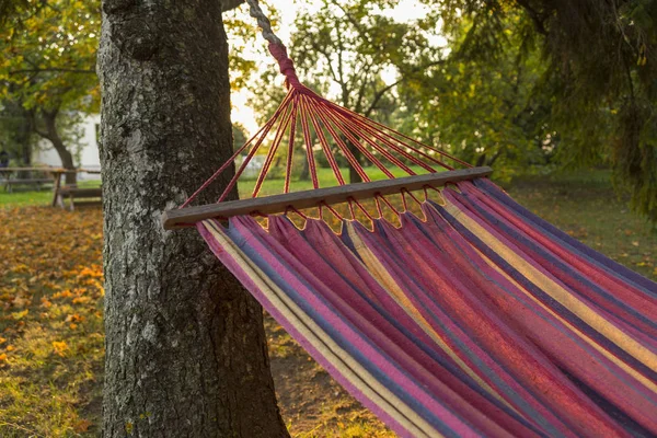 Akşam ağaçlar arasında renkli bir hamak. 