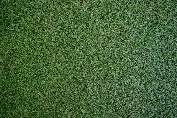 Feld von frischem grünen Rasen Gras Textur natürlichen Hintergrund . — Stockfoto