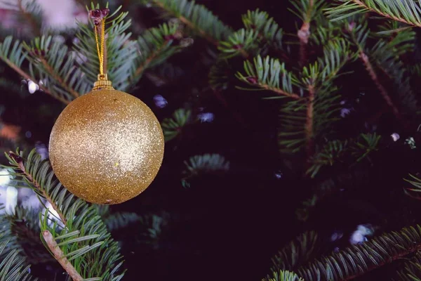 Abstraktes Verschwommenes Weihnachtsbaum Bokeh Motiv Neujahrsfeier Für Banner Montage Produktdisplay — Stockfoto