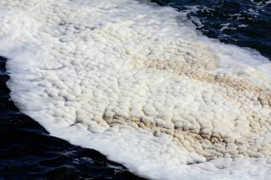 Su yüzeyinde beyaz deniz köpüğü.