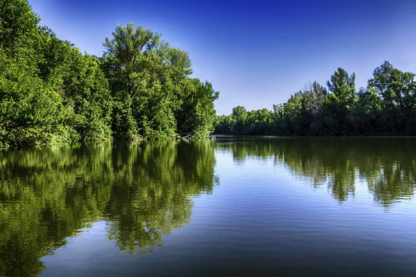 Красивий пейзаж, відображення дерев у воді озера під Блю Ліцензійні Стокові Зображення