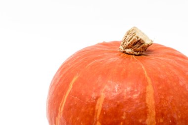 Cadılar Bayramı Balkabağı izole beyaz arka planda, Amerika geleneği kabak sembolü