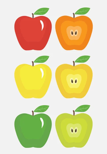 아름 다운 색된 사과 — 스톡 벡터