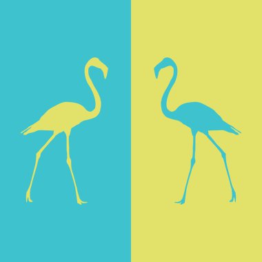 güzel illüstrasyon flamingo