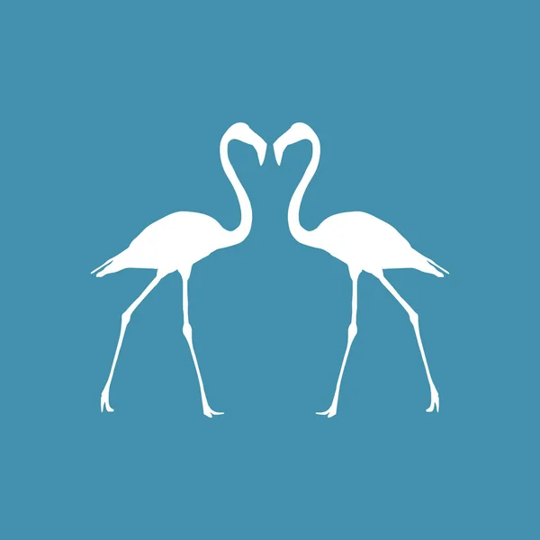 Gyönyörű illusztráció flamingo — Stock Vector