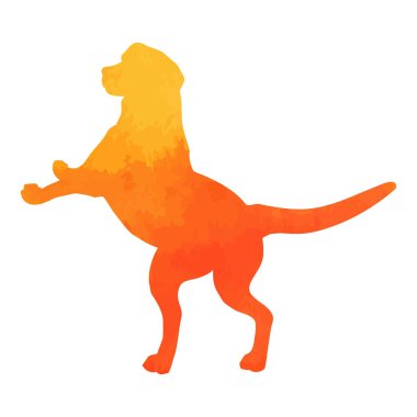 Resimde köpek güzel