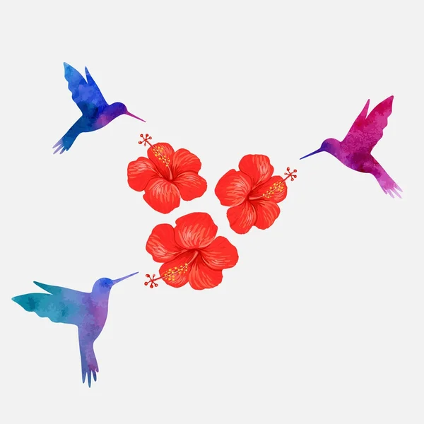 Illustration av en hibiskus — Stock vektor